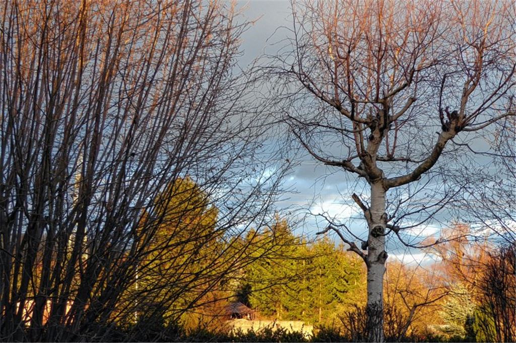 Winterbilder