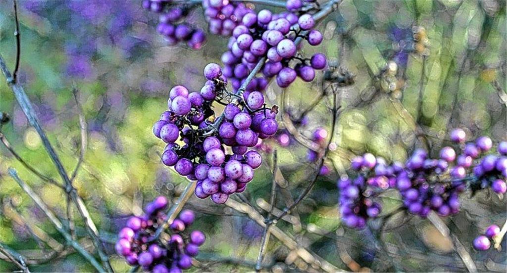Herbstfarben