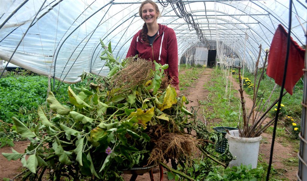 Lily Summers räumt die Beete leer, auf denen später Ackersalat wächst. Foto: Stahlfeld