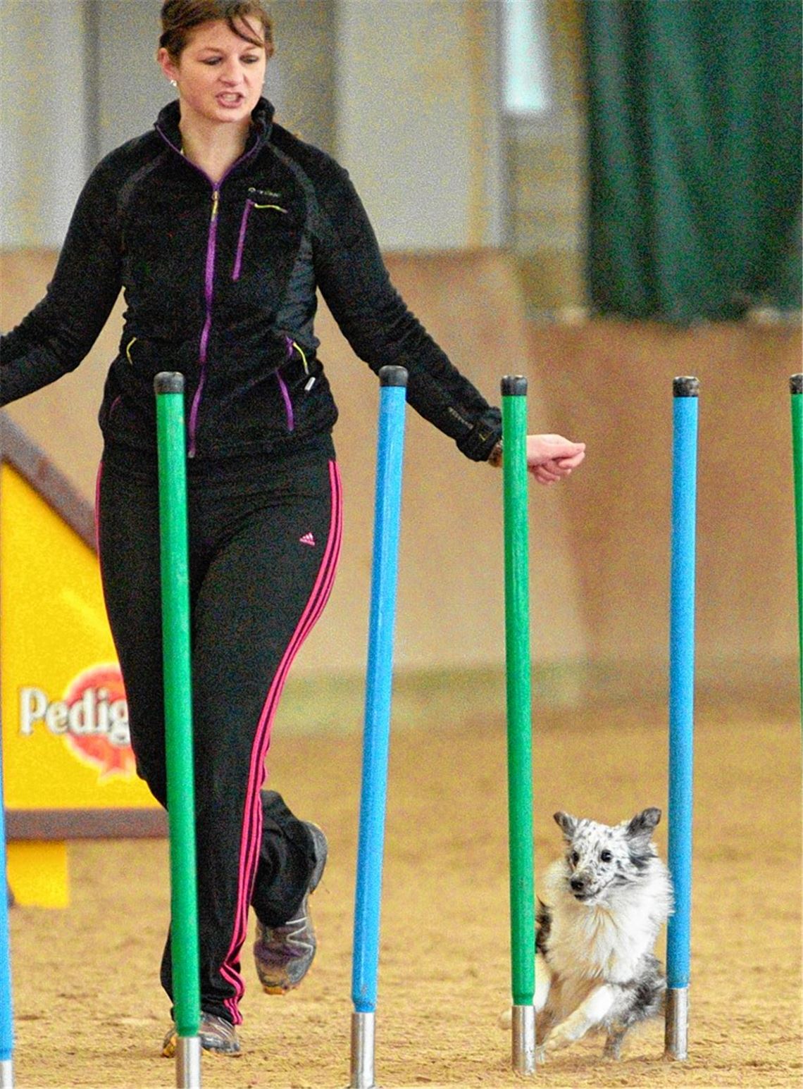 Lizandra Ströhle und Lou aus Mühlacker sind noch recht neu im Wettkampfgeschehen, aber schon überaus erfolgreich. Foto: Heydegger