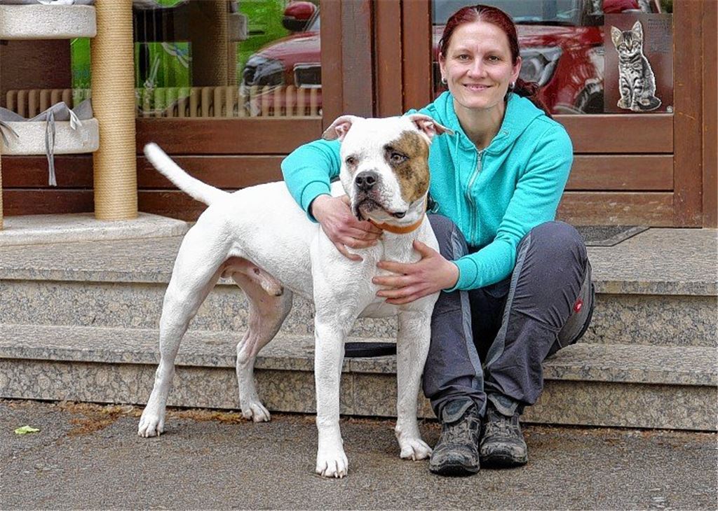 Paten für Pflegetiere gesucht