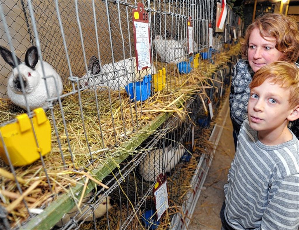 Züchter freuen sich über viele Besucher