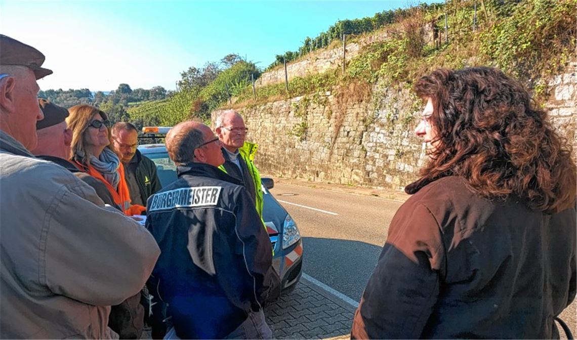Mühlhäuser Mauer wird zum Problemfall