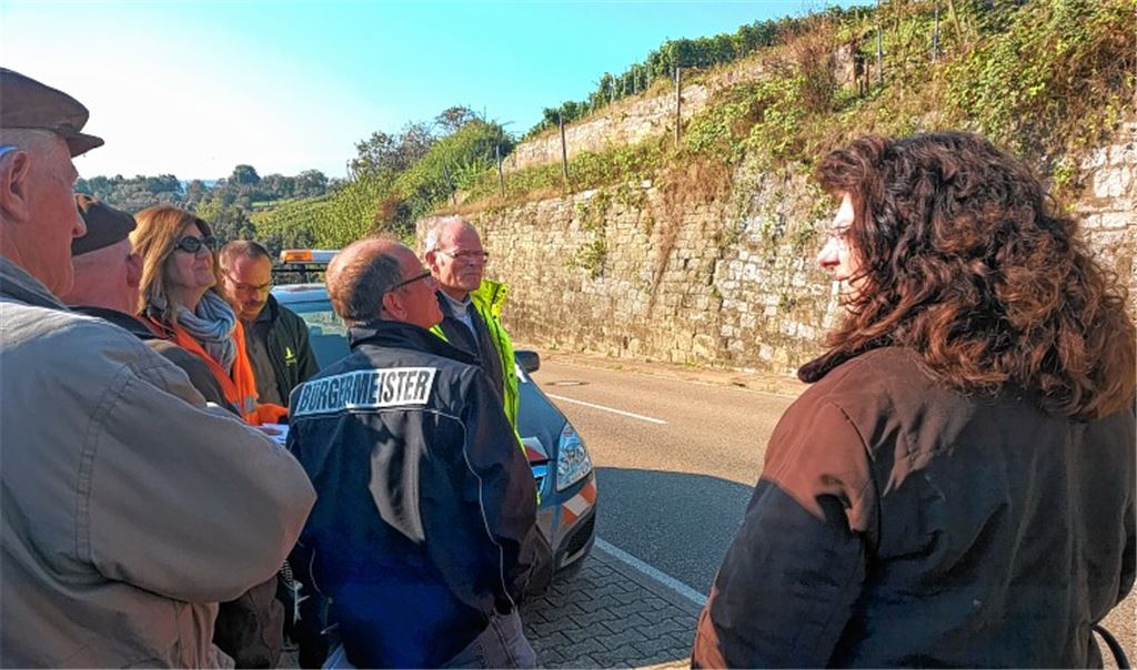 Mühlhäuser Mauer wird zum Problemfall