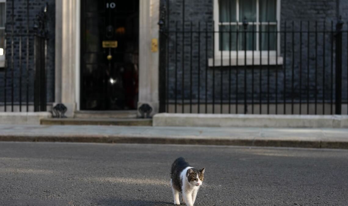 London, Downing Street 10: Der „Chief Mouser“ bleibt gelassen – Starmer ringt in der größten Führungskrise