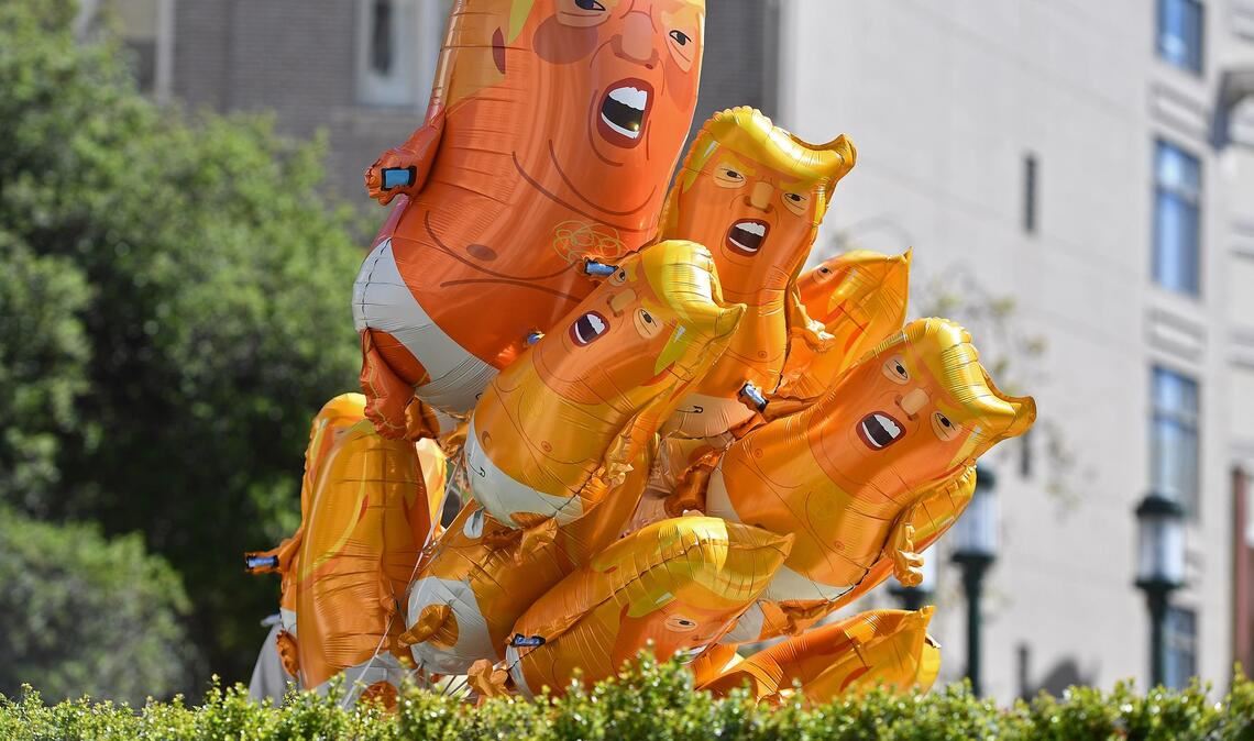 Luftballons mit dem Konterfei von US-Präsident Trump blicken hinter einem Busch hervor.