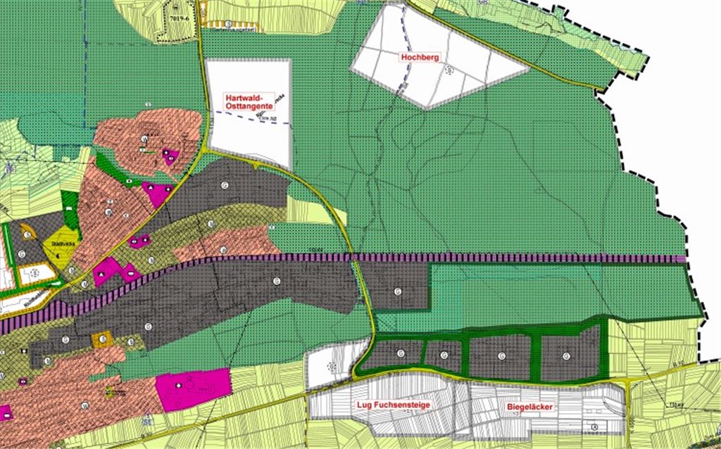 Lug-Fuchsensteige, Biegeläcker, Hartwald-Osttangente und Hochberg stehen als Gewerbeareale zur Debatte. Entschieden ist noch nichts. Fotos: Sadler (3), Plan: Stadtverwaltung