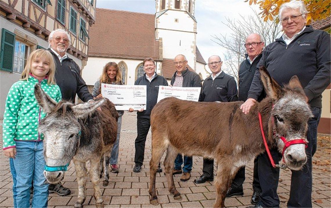 Kinder und Tiere profitieren von Konzert Kinder und Tiere profitieren von Konzert