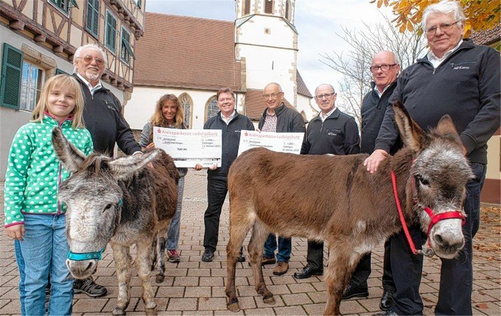 Kinder und Tiere profitieren von Konzert