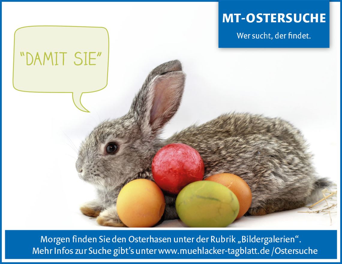 MT-Ostersuche: Begriff notieren und sich so dem Lösungssatz zum Thema Ostern nähern. Viel Spaß!