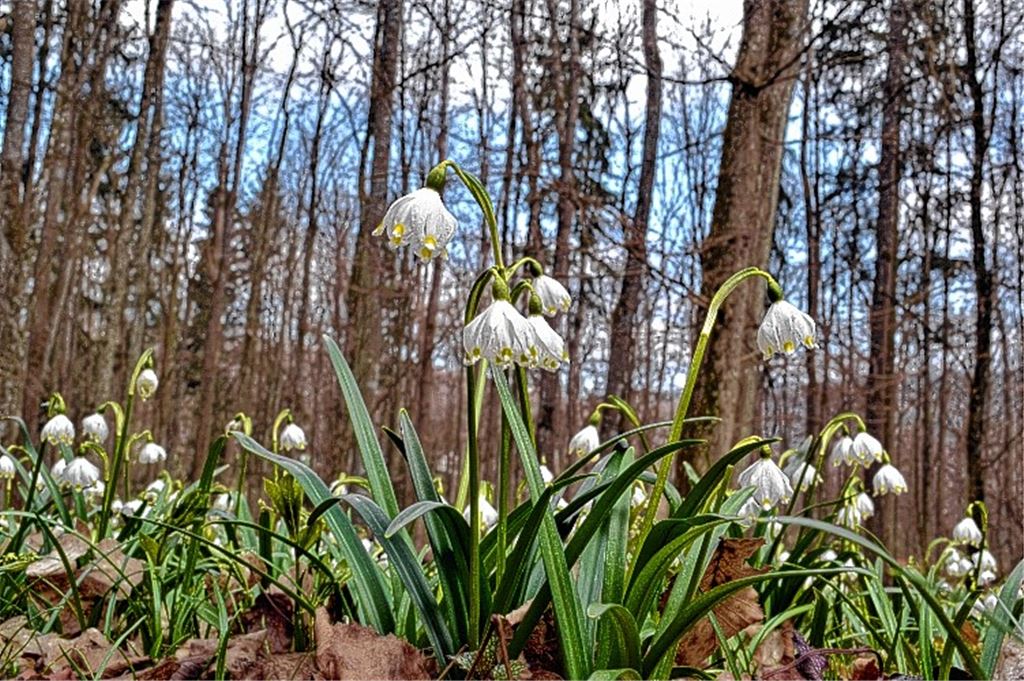 Frühlingsgefühle