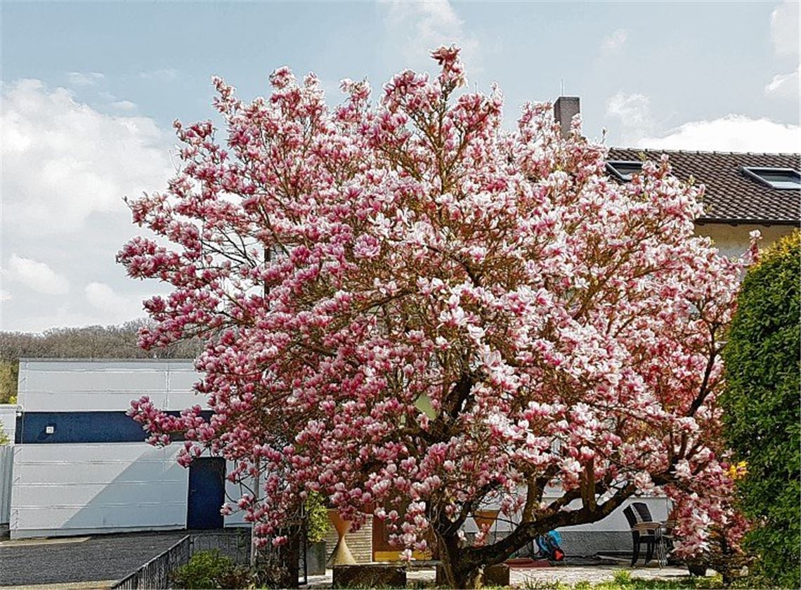 Frühlingsgefühle Frühlingsgefühle