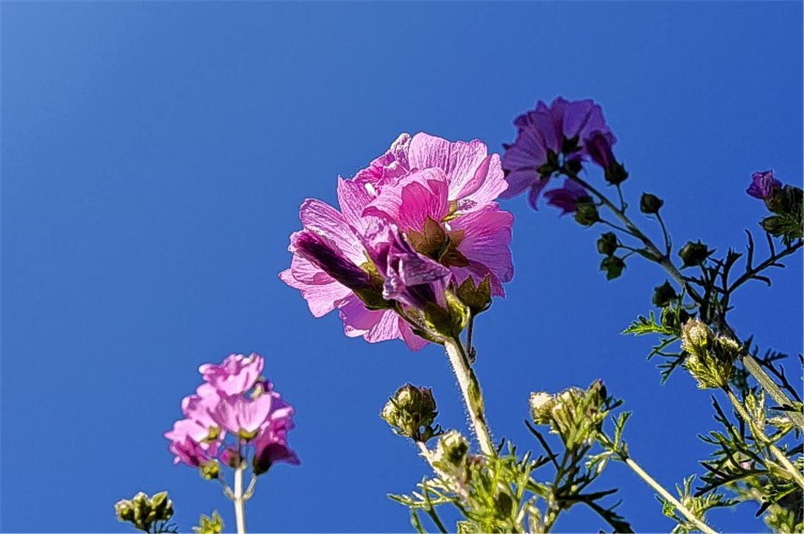 Sommerzeit