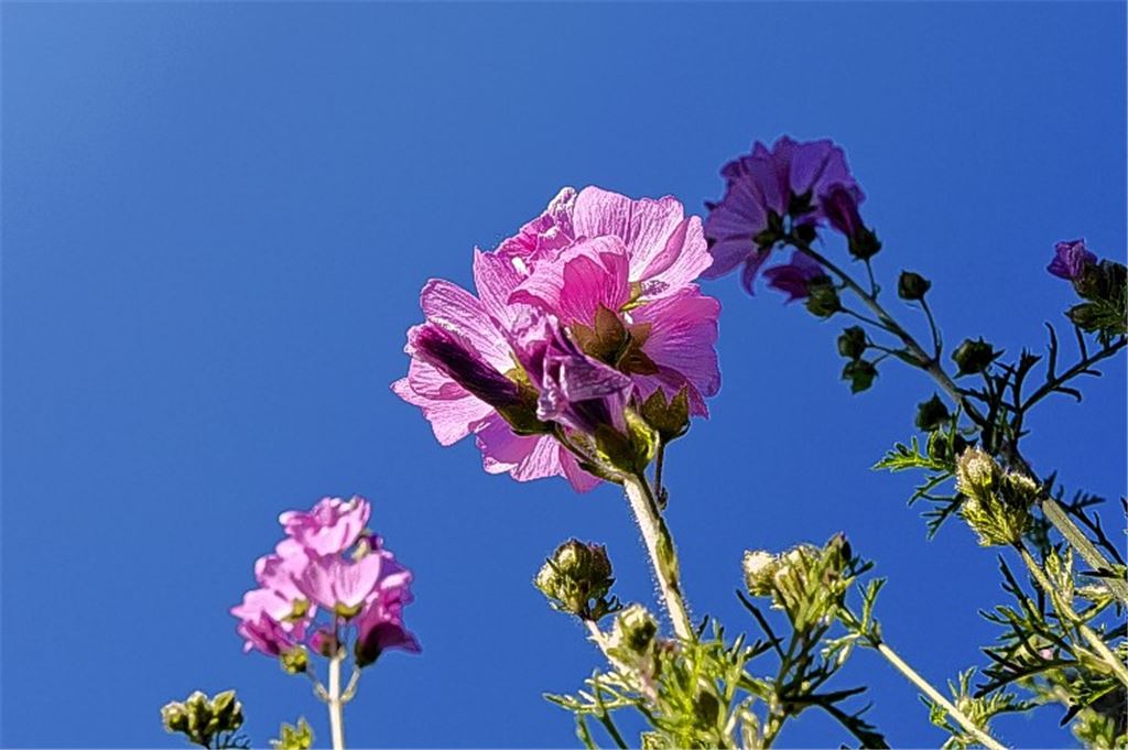 Sommerzeit