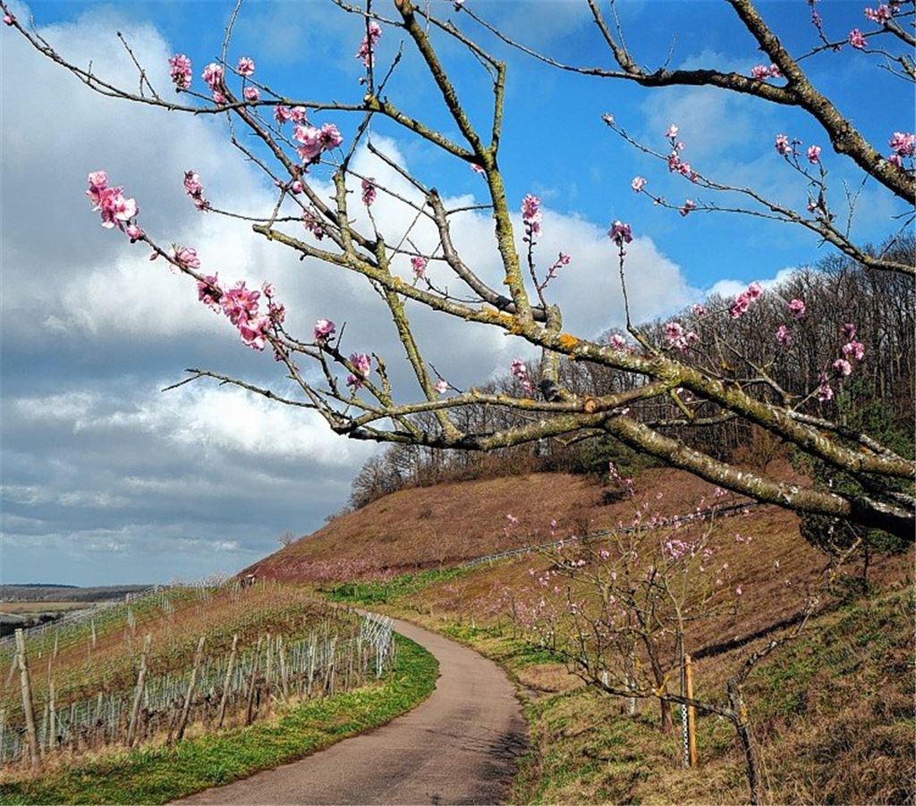 Frühlingsgefühle