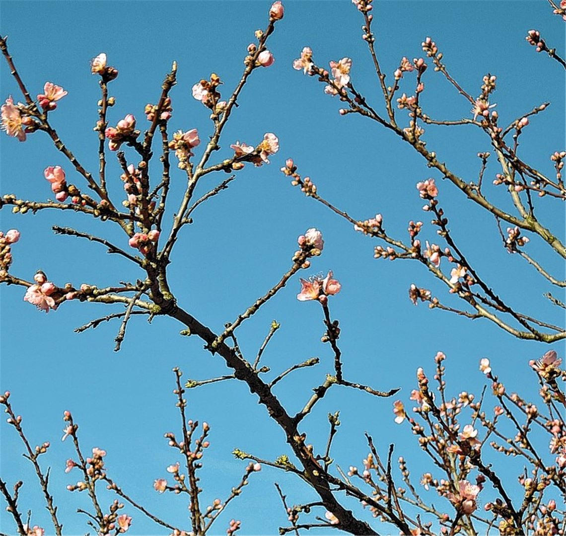 Winterbilder