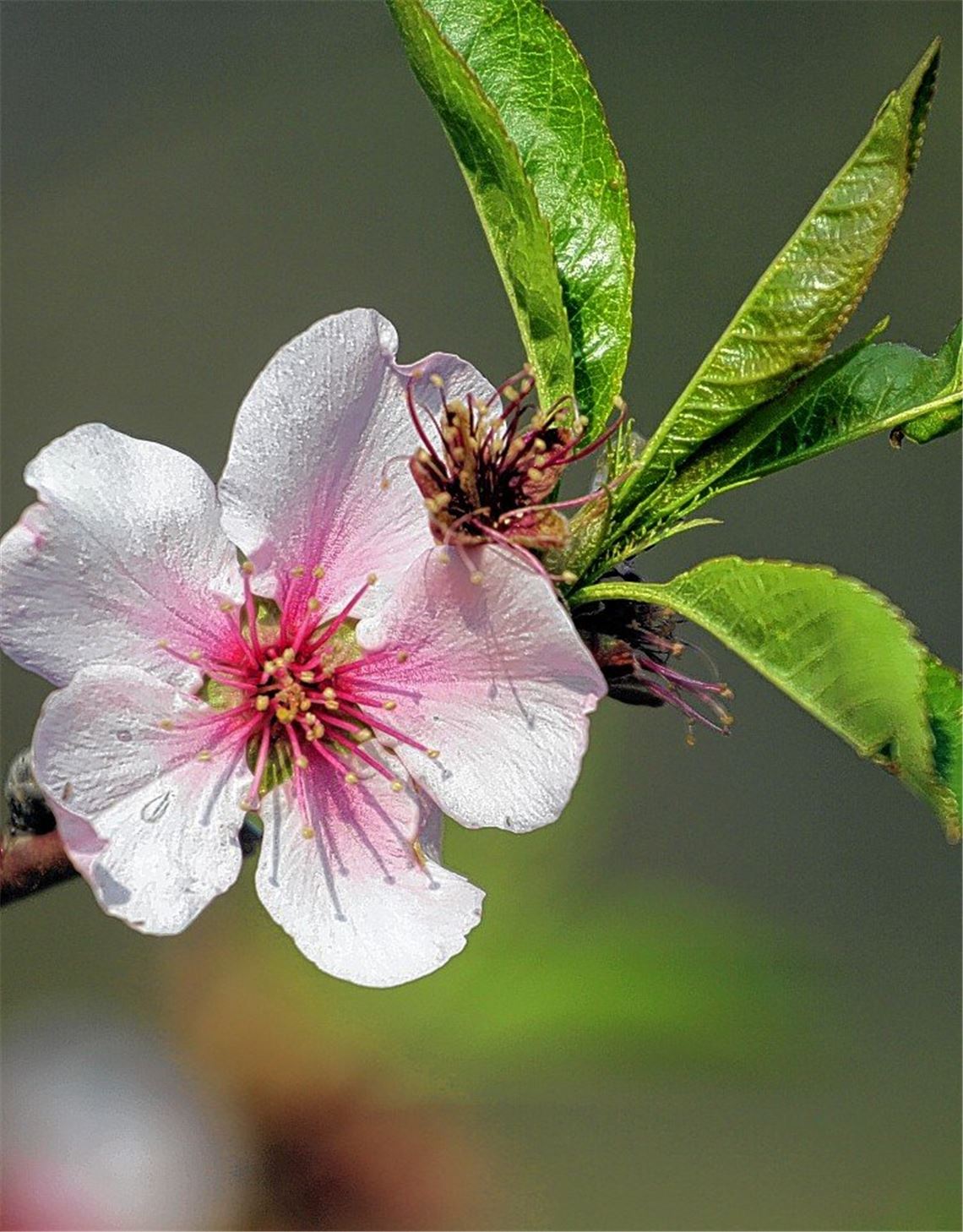 Frühlingsgefühle Frühlingsgefühle