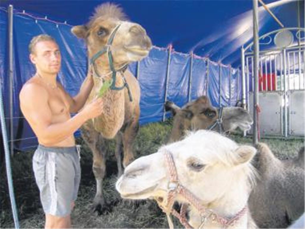 Marcel Frank kennt sich nicht nur mit Artistik unter der Zirkuskuppel aus, sondern auch mit den tierischen Kollegen. Fotos: Becker