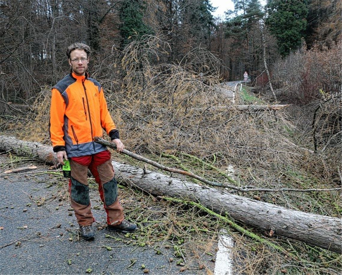 Auf Treibjagd folgt Holzeinschlag Auf Treibjagd folgt Holzeinschlag