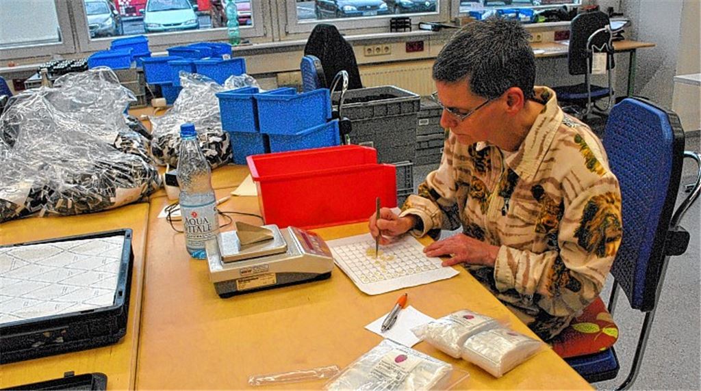 Maren Emrich lässt bei ihrer Arbeit in der Reha-Werkstatt über die Schulter sehen. Foto: Stahlfeld