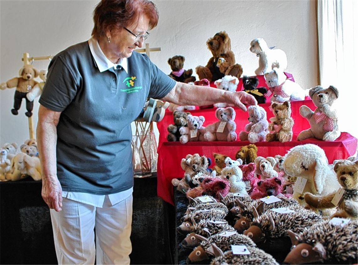 Teddys dienen gutem Zweck