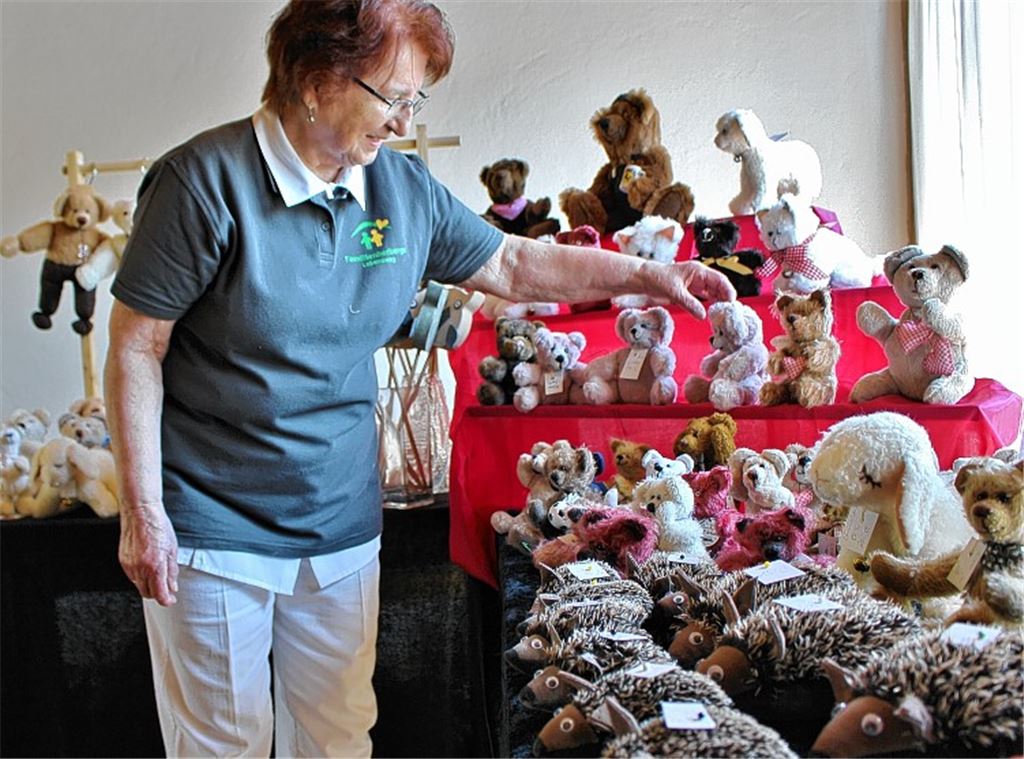 Teddys dienen gutem Zweck