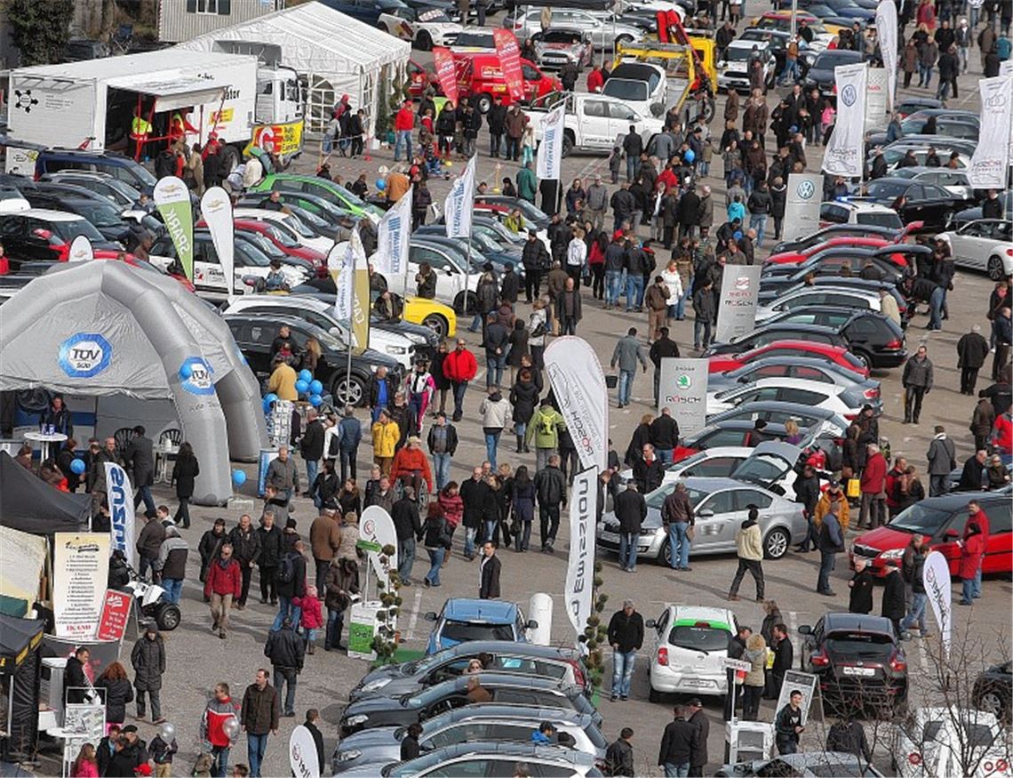 Marken und Modelle: Der Automarkt bietet einen großen Überblick. Foto: Wacker