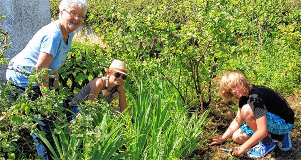 Marlies Fessler (li.) ist begeistert: Anna Köbbel und Joshua Dittmar vom THG rücken am Sozialen Tag dem Unkraut in ihrem Garten zu Leibe. Foto: Recken.