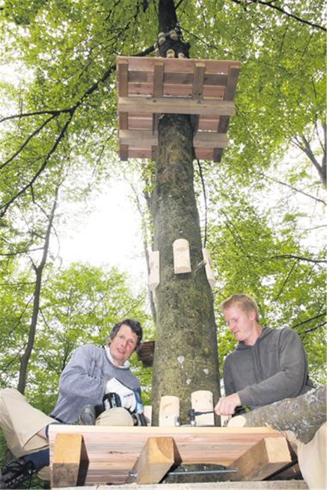 Martin und Stephan Coenen (re.) sind vollauf beschäftigt mit den Aufbauarbeiten für den Illinger Kletterwald. 
Foto: Goertz