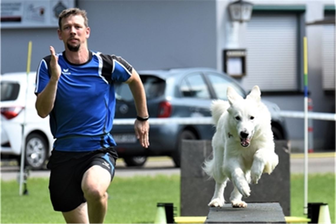 Hundesportler starten wieder durch Matthias Ehrismann mit Chase (Weißer Schweizer Schäferhund) im Vierkampf. Foto: Heidinger