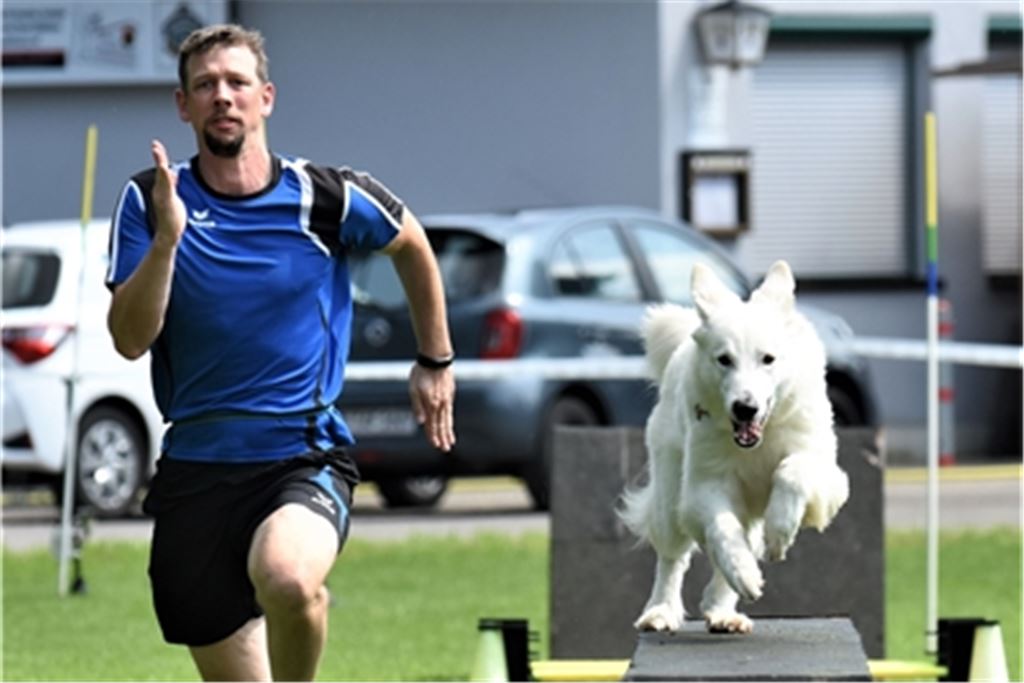 Matthias Ehrismann mit Chase (Weißer Schweizer Schäferhund) im Vierkampf. Foto: Heidinger
