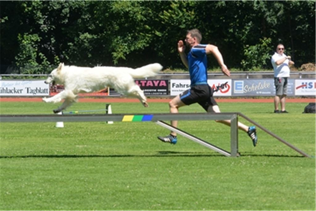Matthias Ehrismann und sein Vierbeiner holen im Vierkampf den dritten Rang. Fotos: Stahlfeld