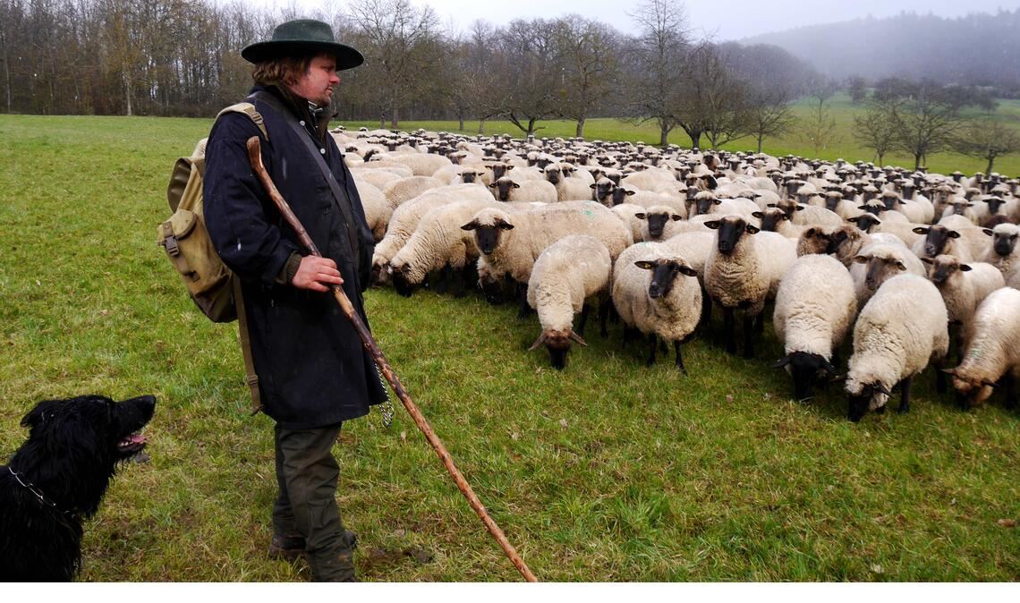 Matthias Meerwarth hat früher als Automechaniker gearbeitet. Heute ist er Schäfer und bereut den Wechsel nicht. Foto: Lechner