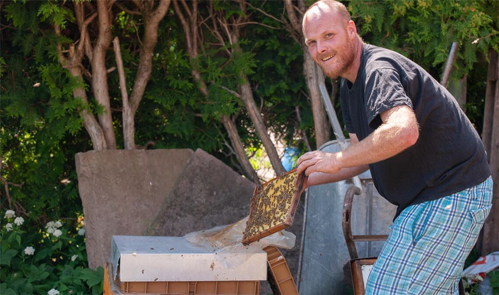 Matthias Reschke aus Zaisersweiher kümmert sich intensiv um seine Bienen, die auf verschiedene Standorte verteilt sind. Fotos: Fotomoment