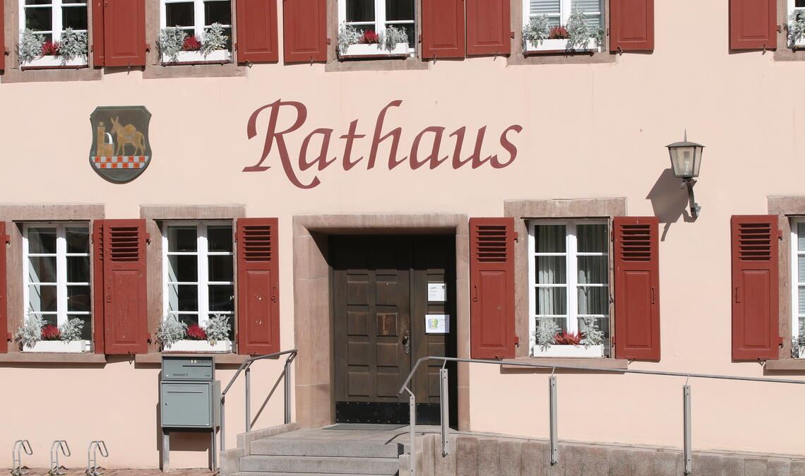 Maulbronner Rathaus: Wer morgens künftig regelmäßig durch diese Tür geht, kann sich bereits am Sonntag entscheiden, wenn bei der Wahl für das Bürgermeisteramt eine klare Entscheidung fällt. Fotos: Disselhoff