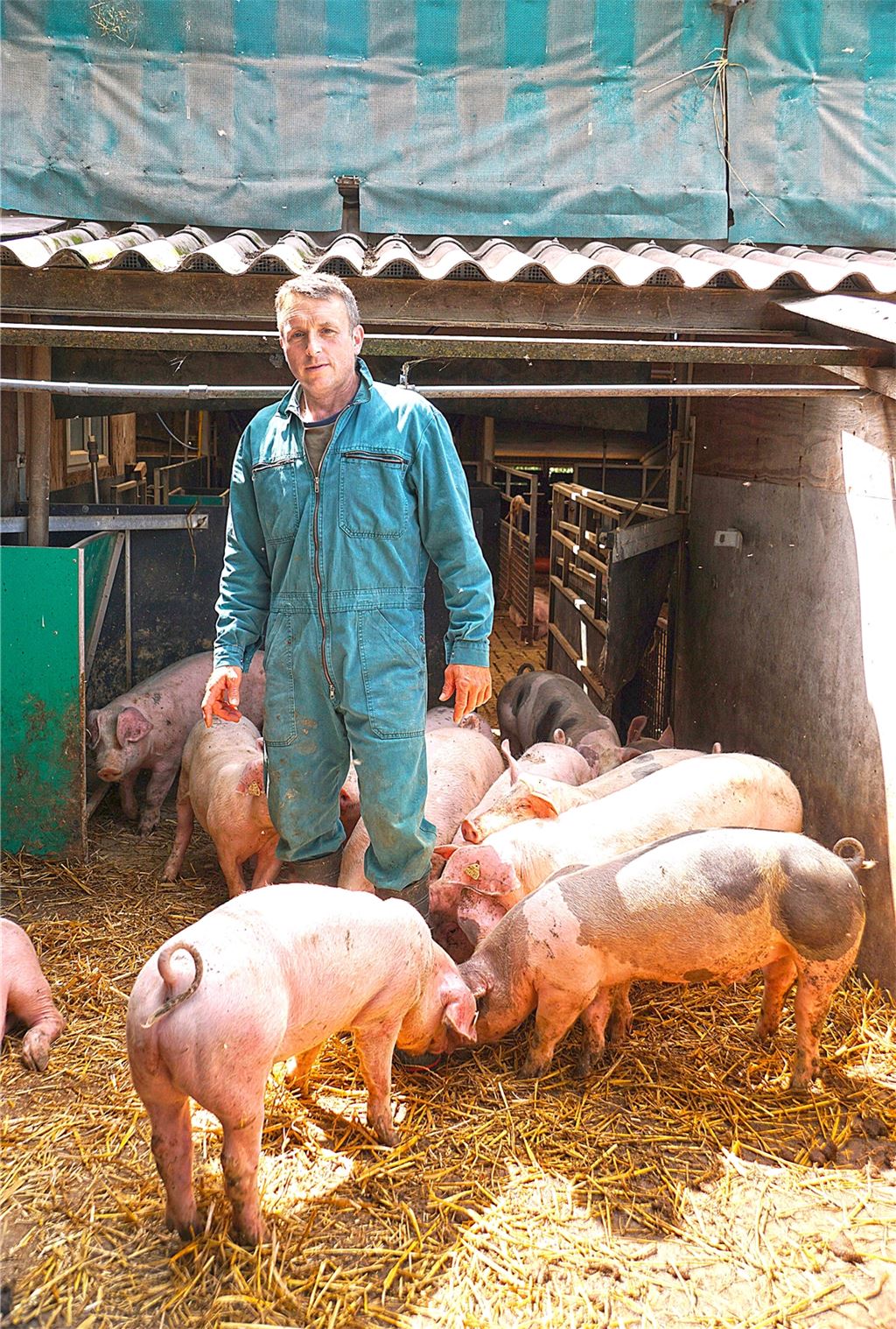 Mehr Platz im Stall, Spaltenboden und Stroh im Liegebereich: Den Tieren von Landwirt Ulrich Hauser geht es gut.