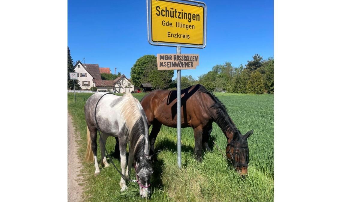 Mehr Rossbollen als Einwohner? Die potenziellen Produzenten nehmen das Zusatzschild gelassen hin. Foto: privat