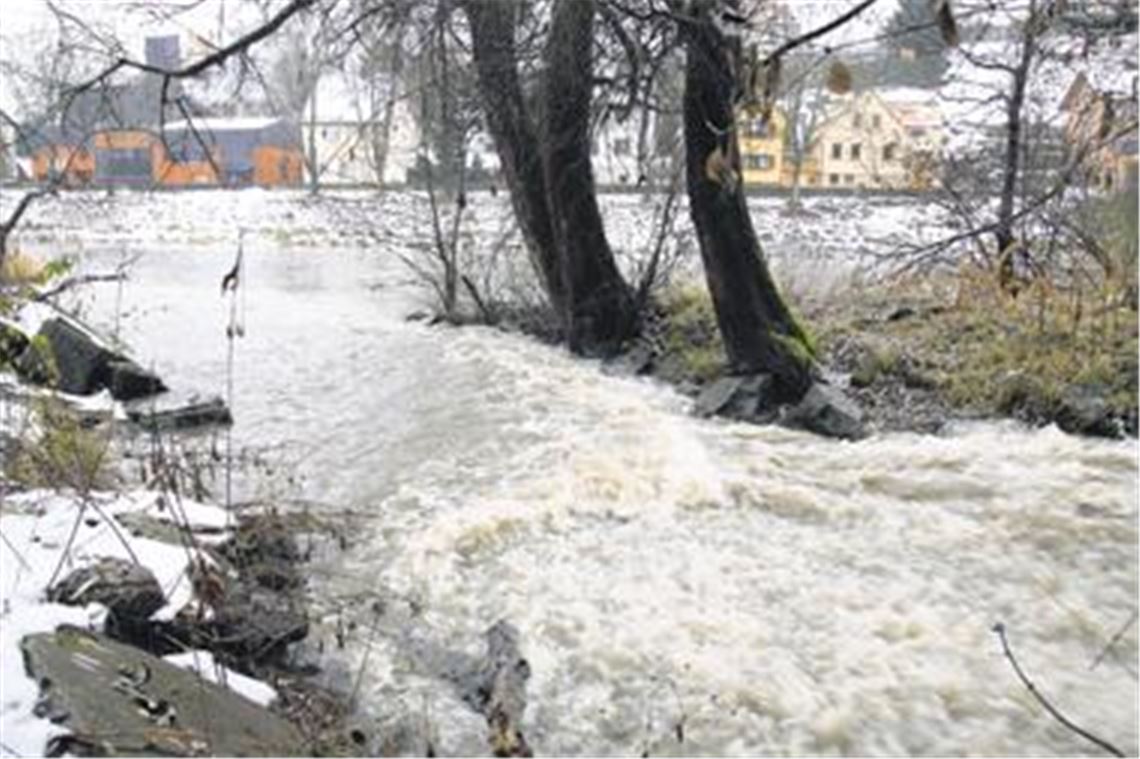 Mehr Wasser, aber noch kein Hochwasser: der Zufluss des Erlenbachs in die Enz unterhalb des Stauwehrs der Stadtwerke. Kleinere Gewässer schwellen dieser Tage rascher an als der Fluss.
Foto: Disselhoff