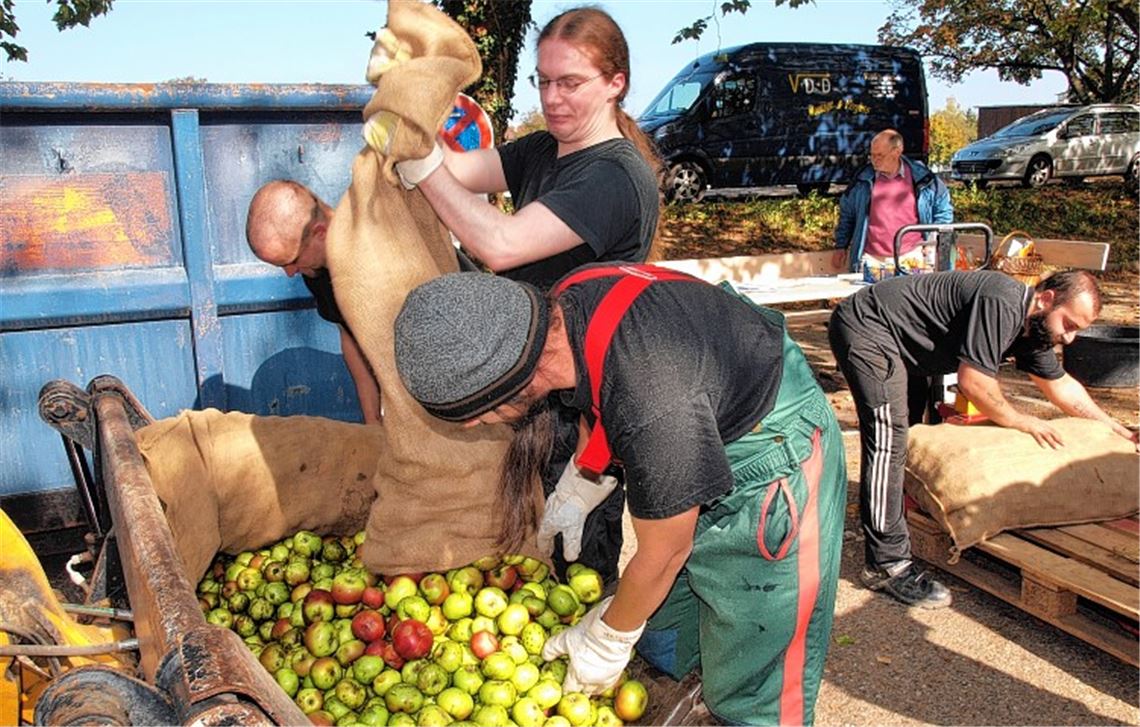 Mehr als 20 Tonnen Äpfel wurden im Vorfeld für die Annahmestelle angemeldet. 