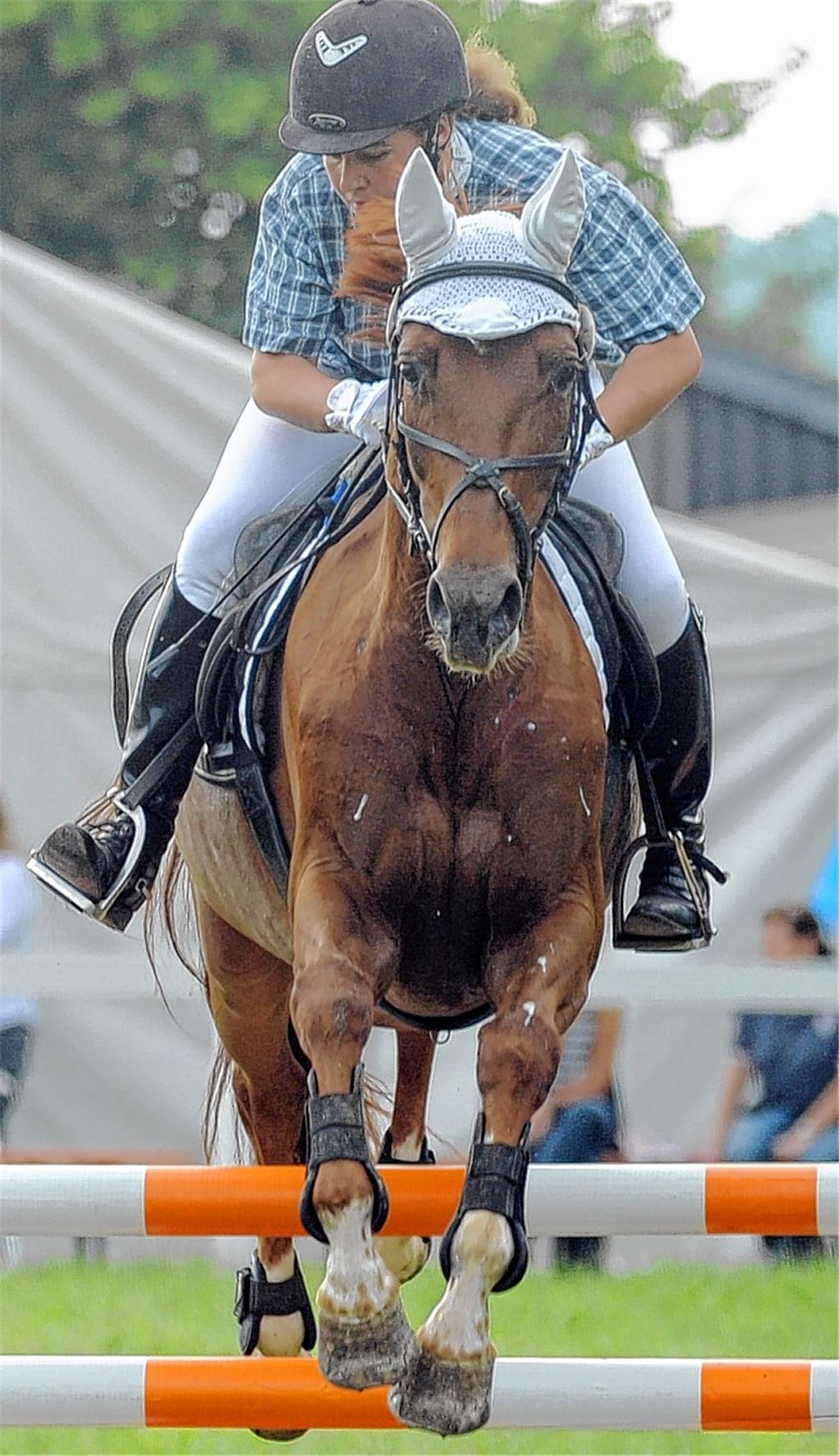 Mehr als 300 Reiter werden auf der Wasserhalde erwartet. Archivfoto