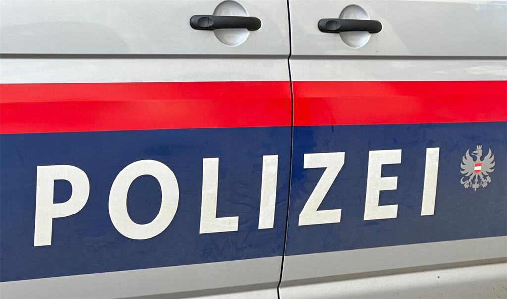Mehr als 400.000 Autofahrer, die verbotenerweise einem Stau auf kleineren Straßen ausweichen wollten, wurden im Winter in Österreich erwischt.