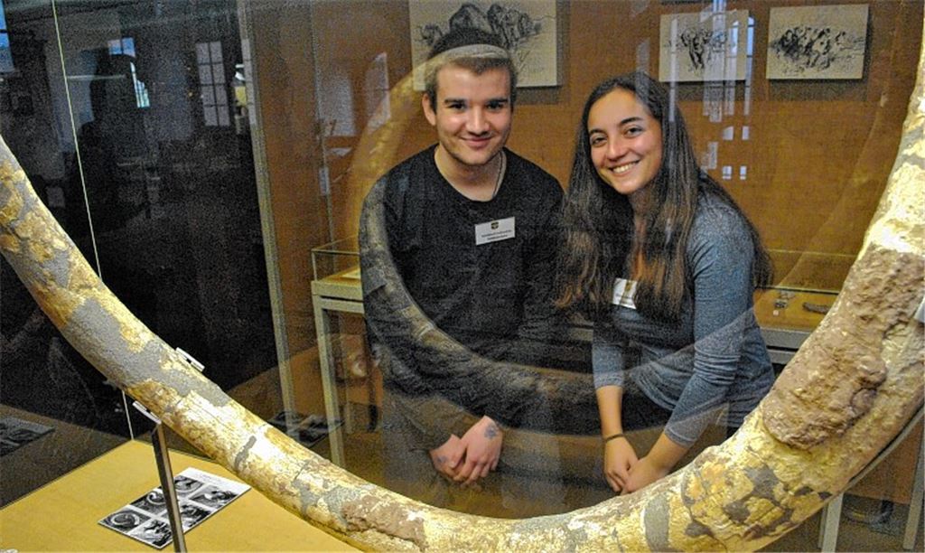 Museum ist alles andere als angestaubt
