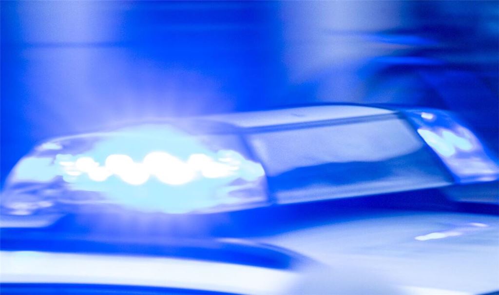 Mehrere Streifenwagen und ein Polizeihund brachten die Situation den Angaben der Polizei nach unter Kontrolle. (Symbolbild)