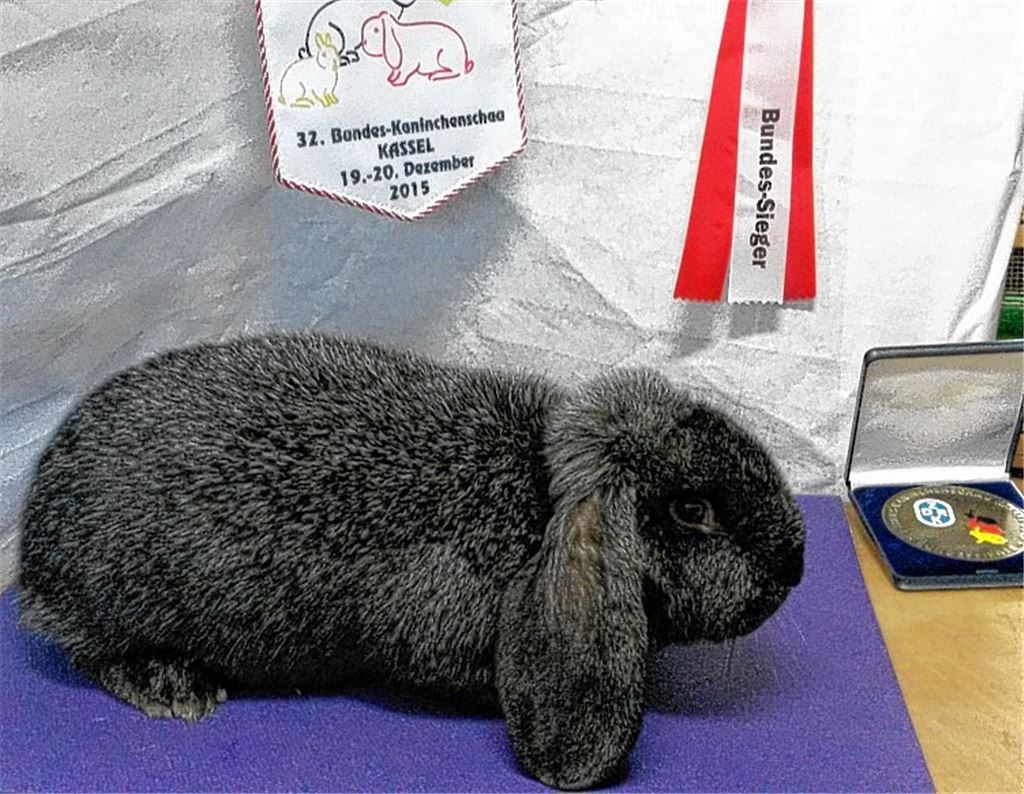 „Olga“ holt europäischen Titel nach Ötisheim