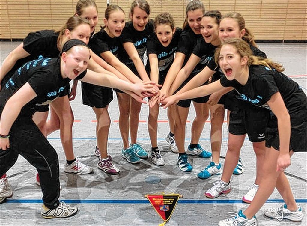 Meister der Bezirksliga: Die Wiernsheimer Handball-Mädchen mit Sofie Bloß, Sabina Laquoix, Sandra Ketterl, Beatrice Greger, Tina Türksch, Judith Ferenczi, Laura Bock, Helen Müller, Benita Kazenmaier und Ines Braun (v.li.). Foto: privat