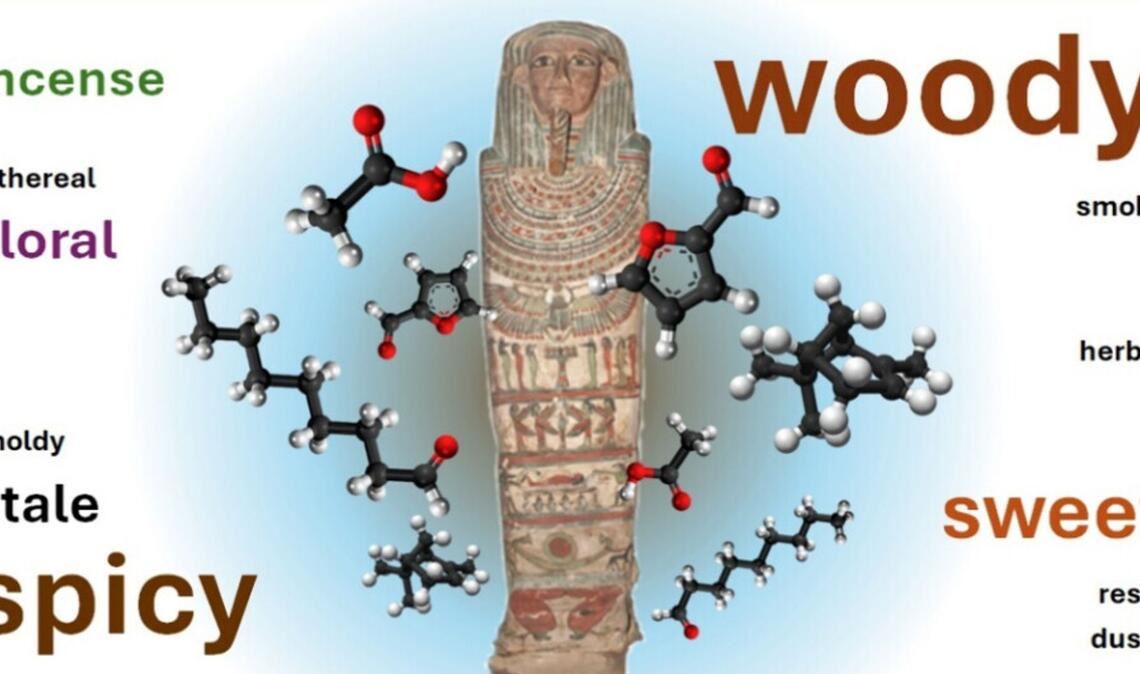 Menschliche „Schnüffler“ haben die Gerüche der Mumien mit Blick etwa darauf untersucht, wie intensiv und angenehm sie waren.
