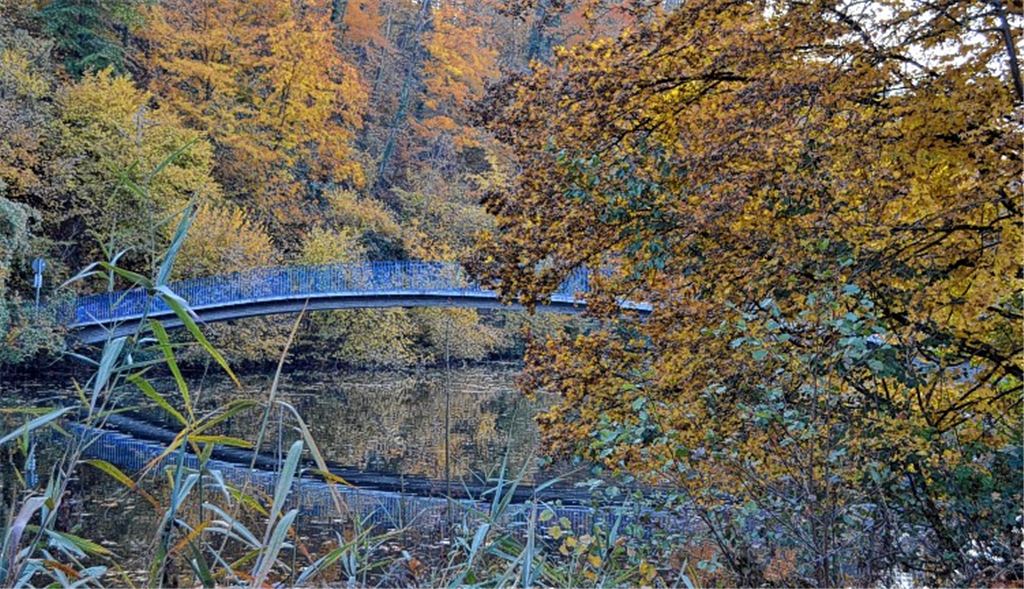 Herbstfarben