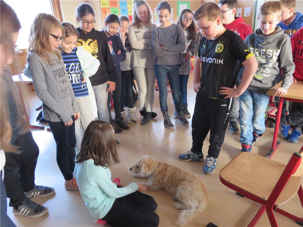 910_0008_123631_cb_Schulhund_Milli8