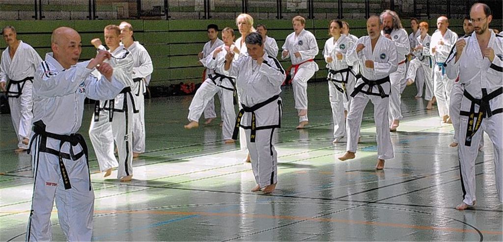 Mit Kim-Ung Lan (links im Vordergrund) hielt am Samstag einer der weltweit höchsten Danträger den Jubiläumslehrgang beim Chang-Hun Taekwon-Do Verein Mühlacker. Foto: Stahlfeld