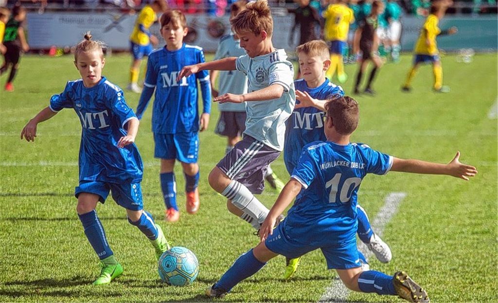 Fußball in Reinkultur